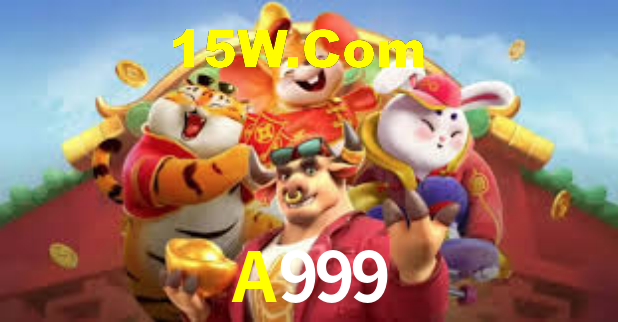 Premium Interface A999